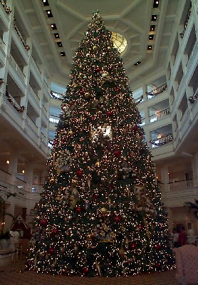 Large Christmas tree from North Pole Xmas Trees